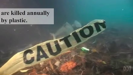 EDCO's Earth Day 2018 video thumbnail